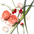 Aromatherapy Associates Rose Rejuvenating Body Trio